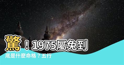 1975屬什麼|【1975是什麼兔】驚！1975屬兔到底是什麼命格？五。